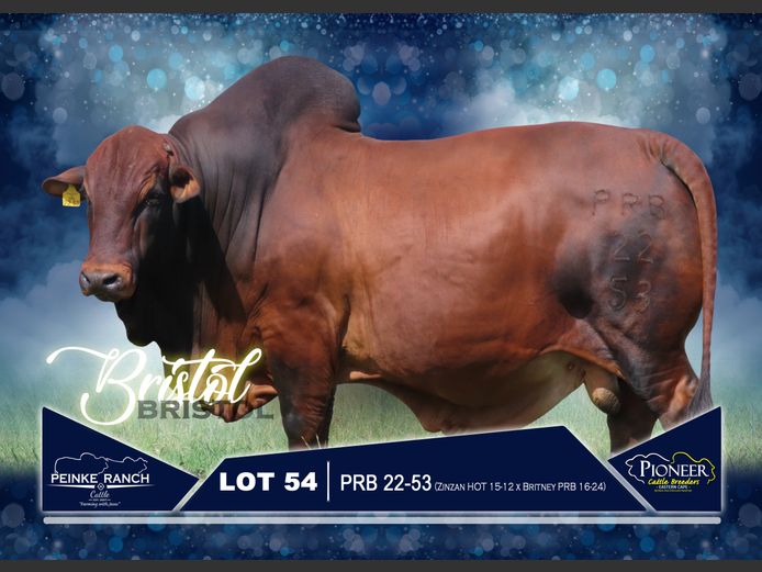 PRB 220053 | PEINKE RANCH