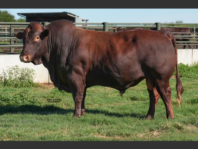 WVZ230002 | THUSO GRAAN EDMS BPK