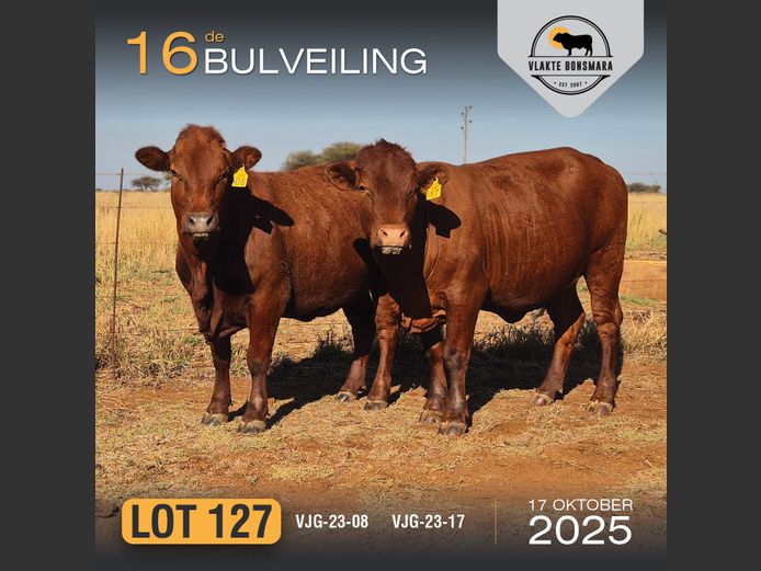 Commercial Animals | GEGUND BEES BOERDERY