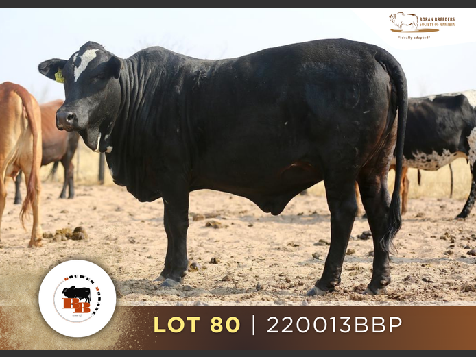 22-0013BBP | BOUWER BORANE