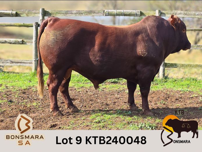KTB240048 | BOTTERFONTEIN ESTATES CC
