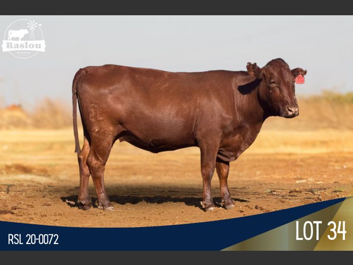 RSL 200072 | RASLOU BONSMARAS