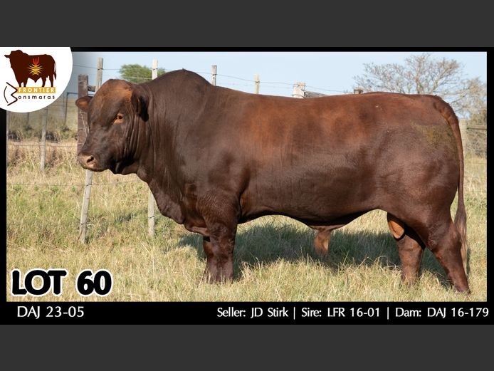 DAJ 230005 | J.D. STIRK