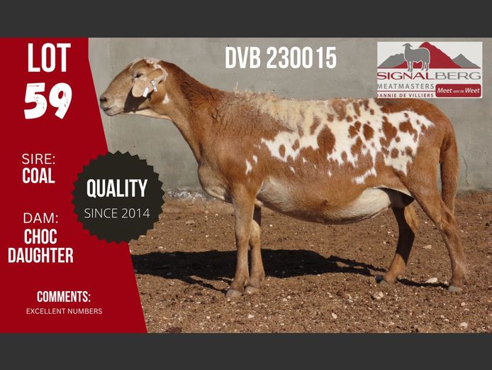 DVB 230015 | SIGNALBERG MEATMASTERS