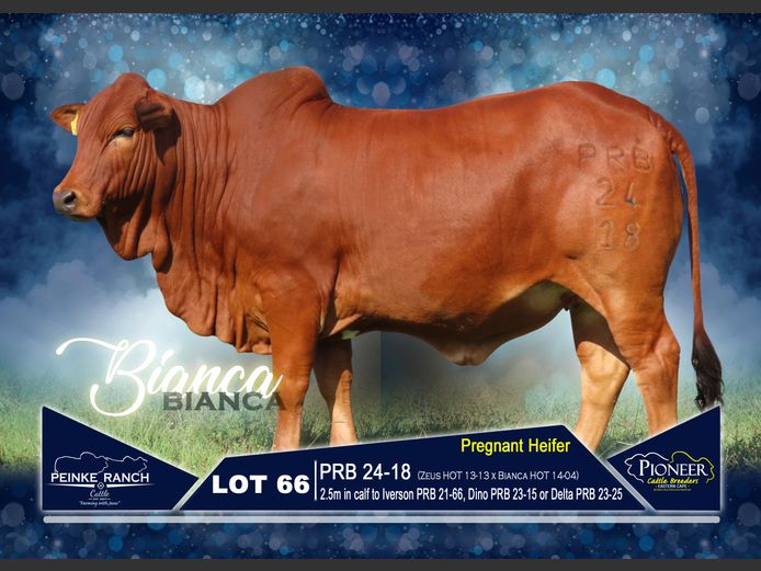 PRB 240018 | PEINKE RANCH