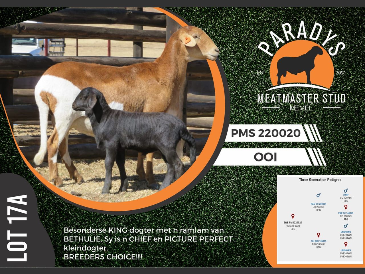 Lot 17A | NASIONALE MEATMASTER VEILING | SwiftVEE | South Africa’s ...