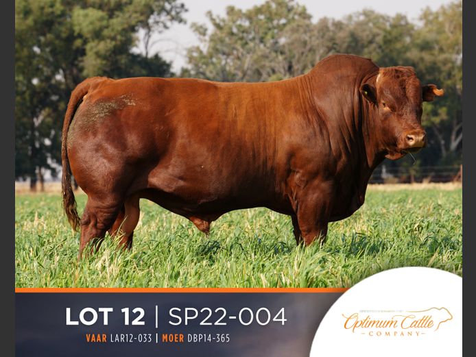 SP  220004