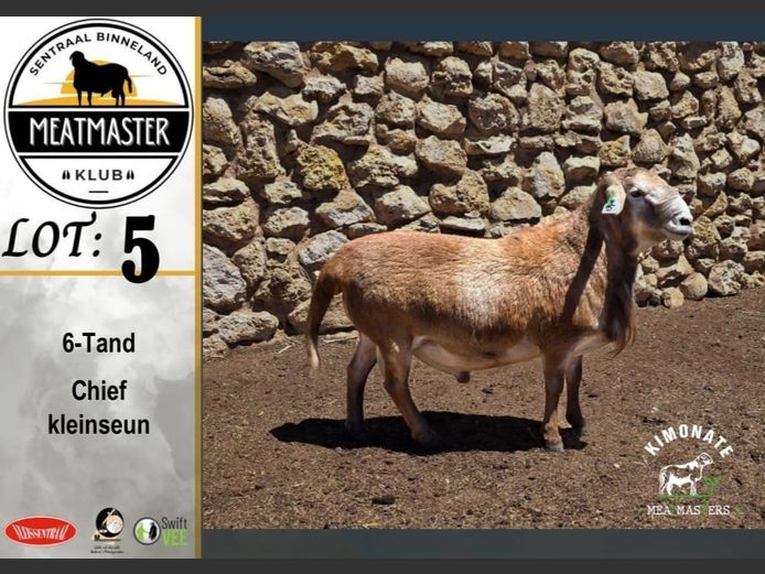 Ram | Kimonate Meatmasters