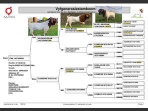 genetic_data