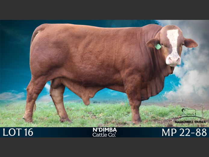 MP2288