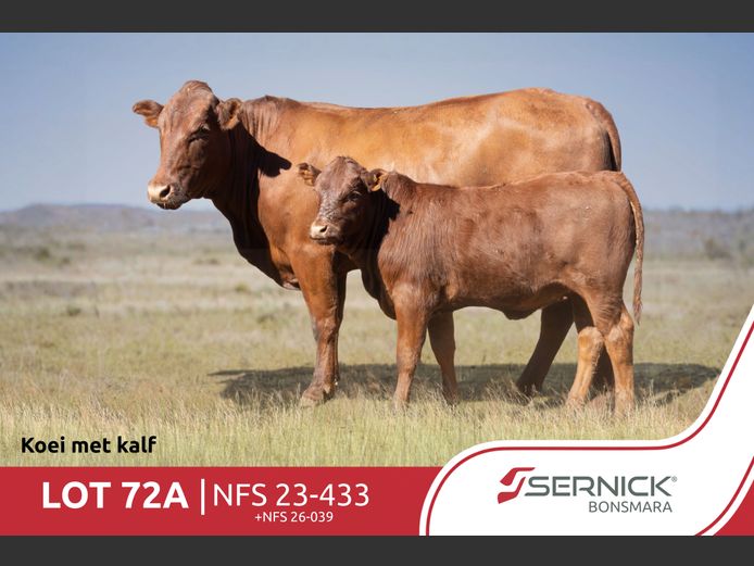 NFS 230433 Pp(c) | SERNICK BONSMARA STOET