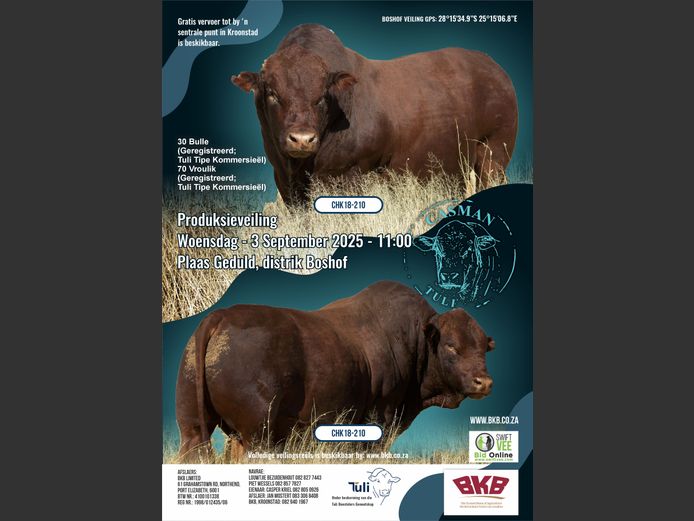 CASMAN TULIS PRODUKSIEVEILING