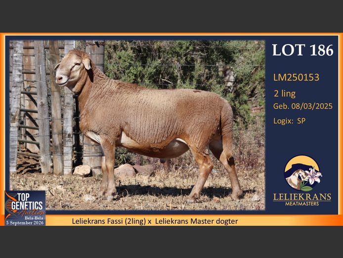 LM250153 | LELIEKRANS MEATMASTERS