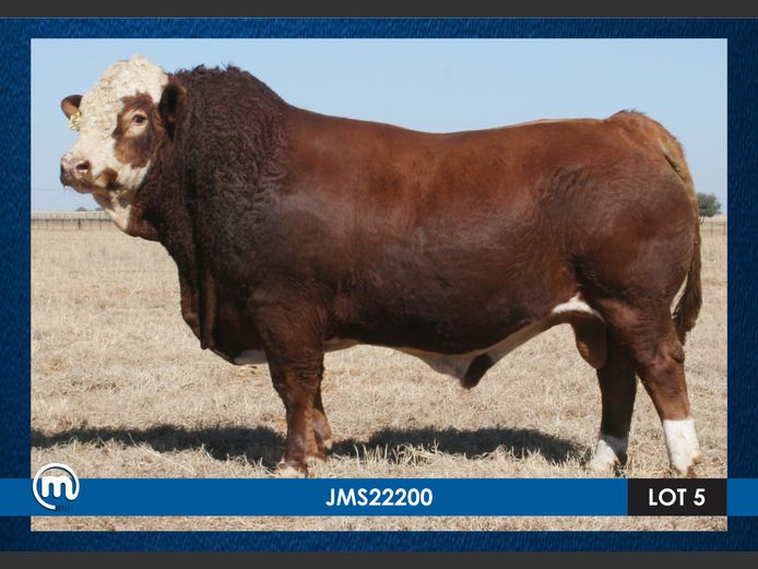 JMS22200