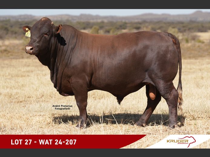 WAT240207 | KRUGER BOERDERY