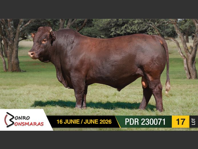 PDR 230071 | BONRO BONSMARAS