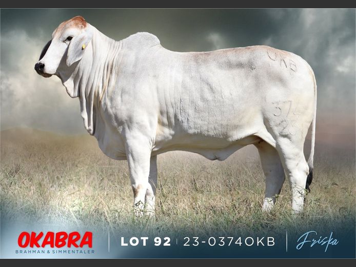 23-0374 OKB | OKABRA BRAHMAN
