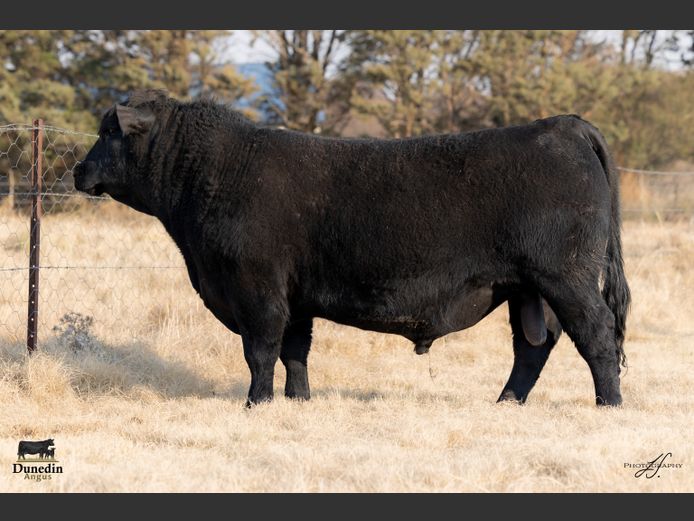 KCM 230090 | TABLE HILL FARMING PTY LTD