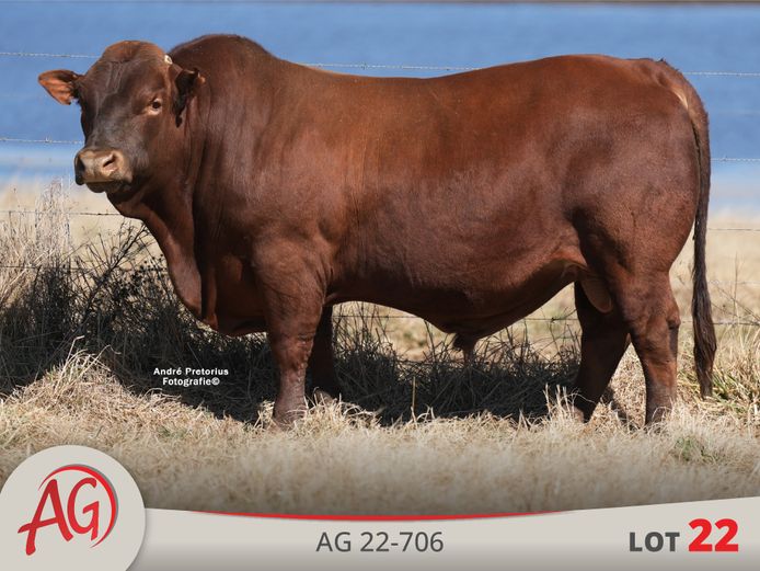 AG220706 HH(c) | ARTHUR DE VILLIERS & SEUN
