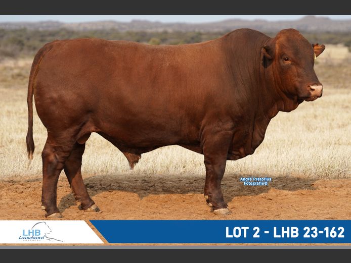 LHB230162 | LEEUHEUWEL BOERDERY (EDMS) BPK