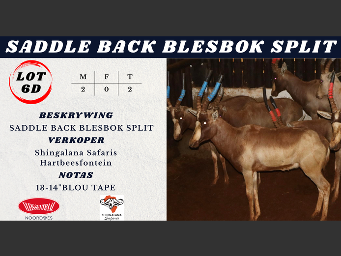 SADDLE BACK BLESBOK SPLIT
