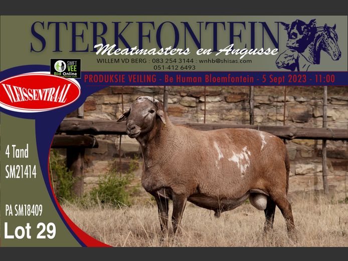 SM 21 414 | Sterkfontein Meatmasters