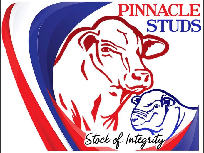 SANTA GERTRUDIS VERSE | PINNACLE STUDS