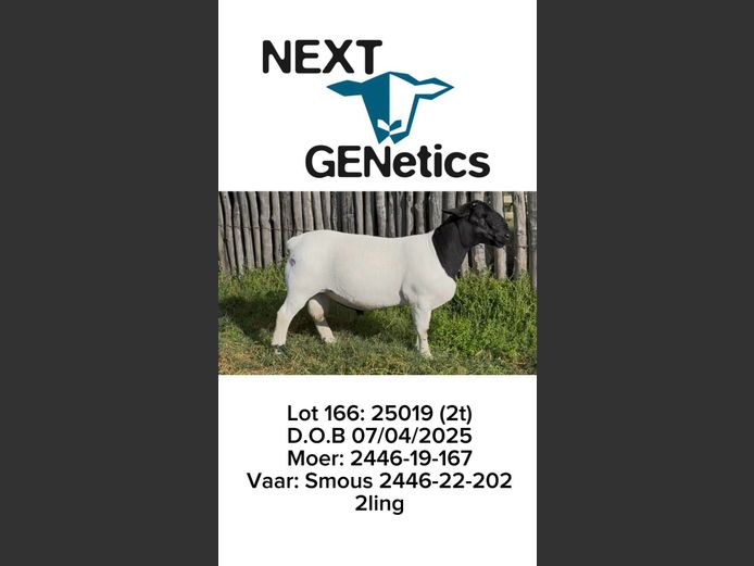 25019 | NEXT GENETICS