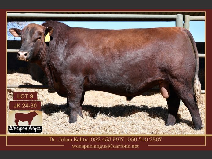 JK240030 | J. KAHTS