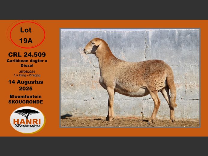 CRL 24 509 | Riaan Liebenberg - Hanri Trust