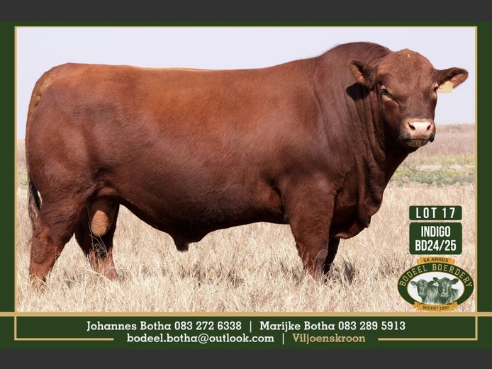 BD240025 | BODEEL BOERDERY