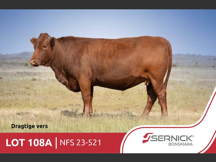 NFS 230521 Pp(c) | SERNICK BONSMARA STOET