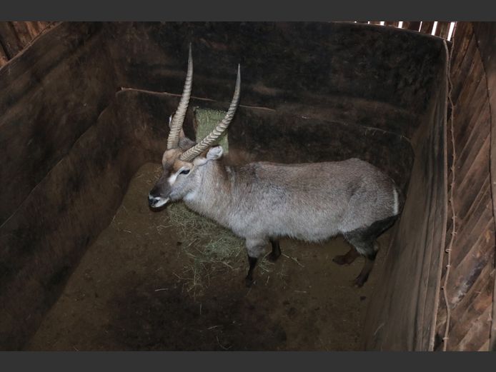 WATERBOK