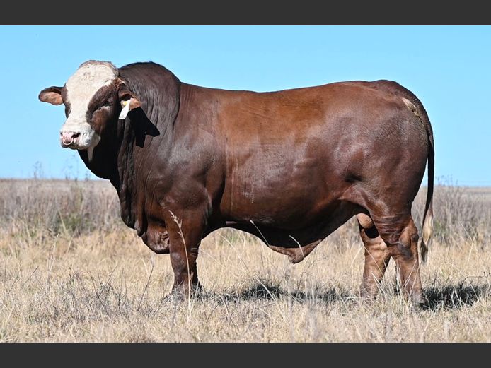 REG23502 | C RAUTENBACH