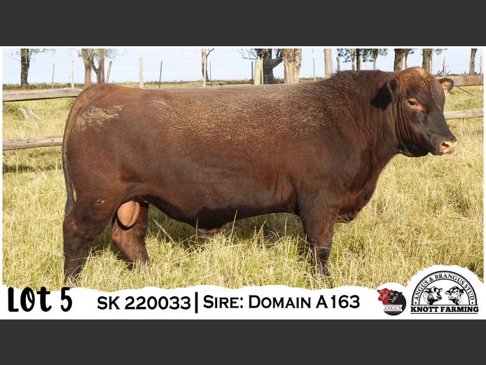 SK 220033