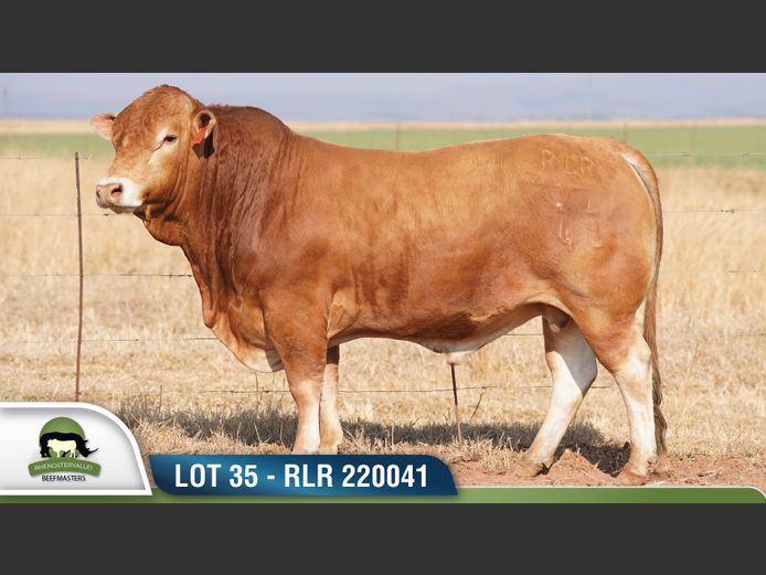 RLR 220041 | RHENOSTERVALLEI