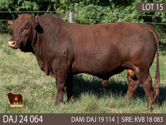 DAJ 240064 | J.D. STIRK