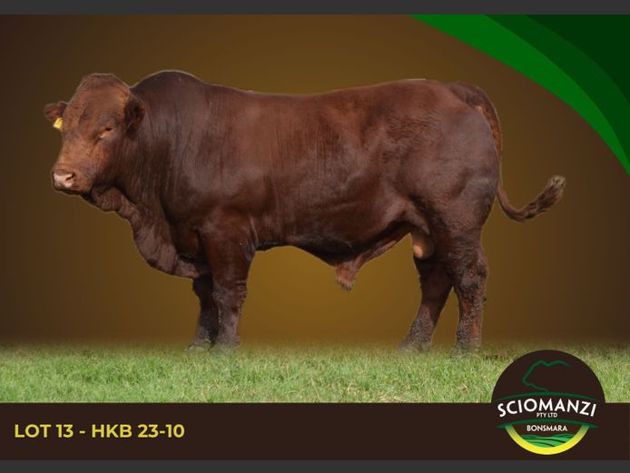 HKB 230010 | SCIOMANZI (PTY) LTD