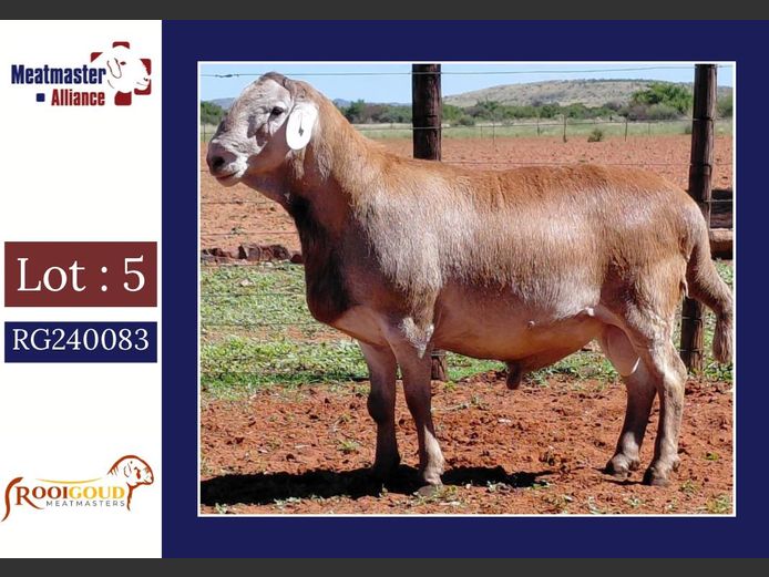 V4190 | Rooigoud Meatmasters