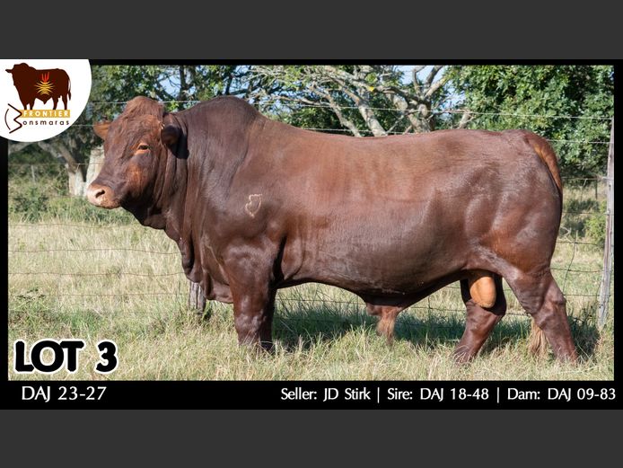 DAJ 230027 | J.D. STIRK