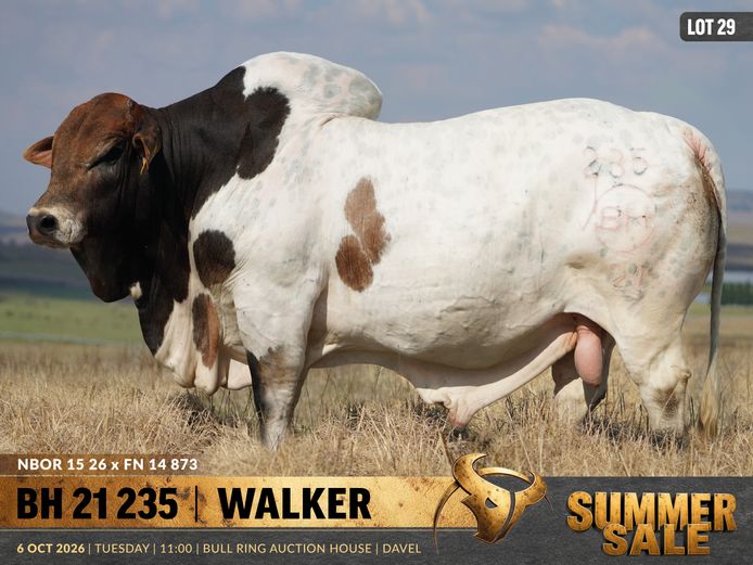 BH210235 | B. HURWITZ FARMING