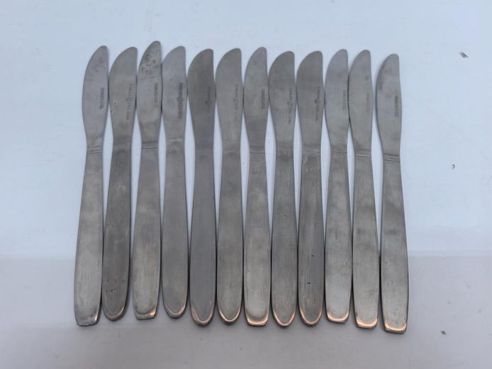 Set of 12 Stainless Steel Dinner Knives