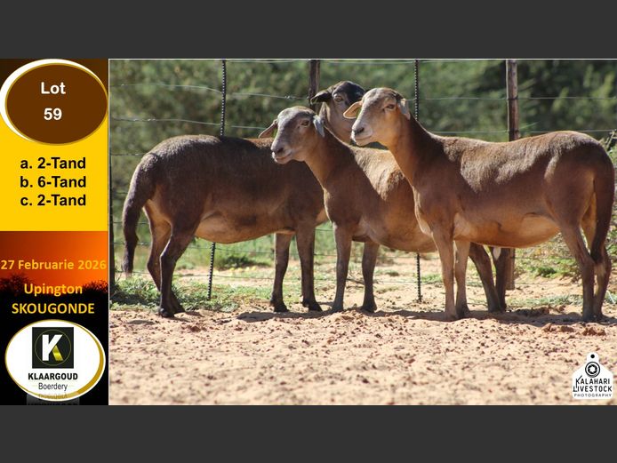 CP 59C | Chris Potgieter & Christia Scholtz - Klaargoud Boerdery