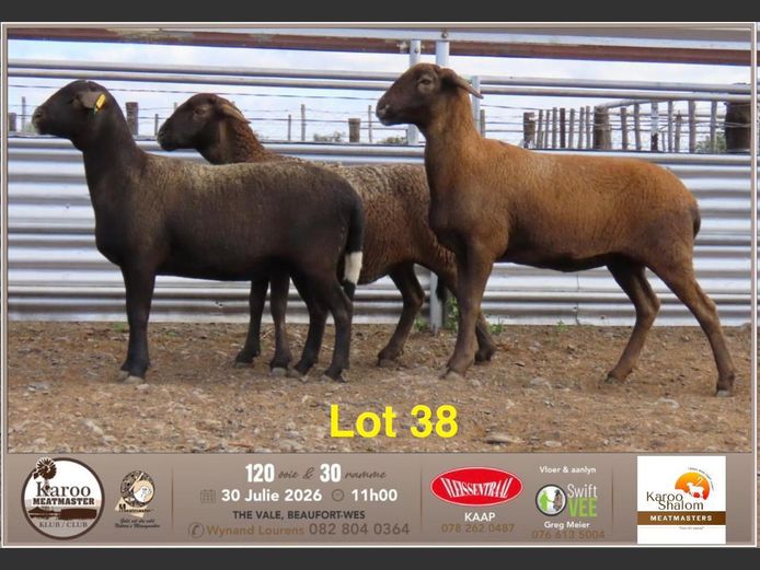 D25.6 | Jacques Strydom - Karoo Shalom Meatmasters