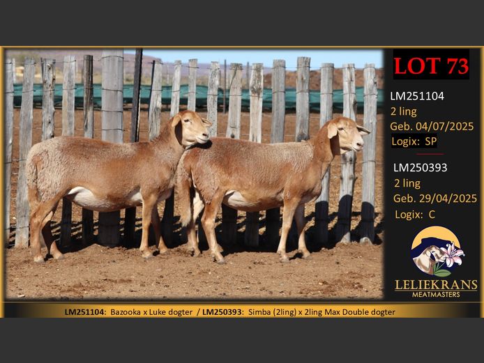 LM251104 | LELIEKRANS MEATMASTERS