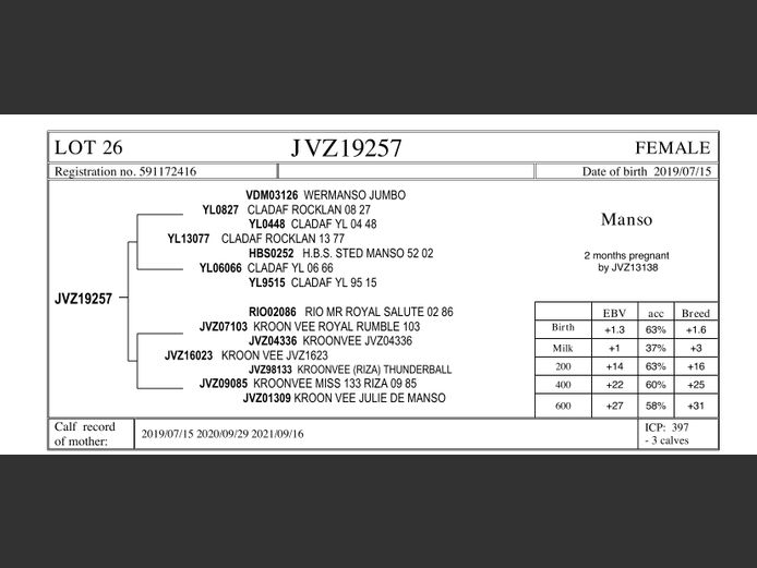 JVZ19-257