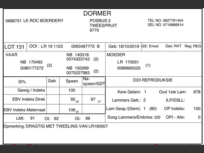 DOMFLR191123