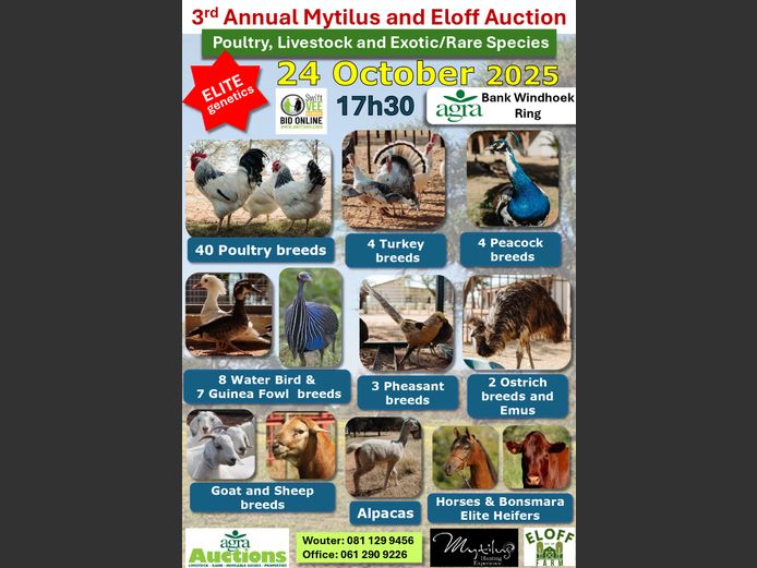 3RD ANNUAL MYTILUS AND ELOFF AUCTION