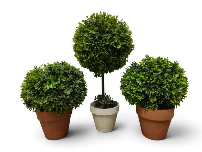 Trio of Faux Topiaries in Clay Planters