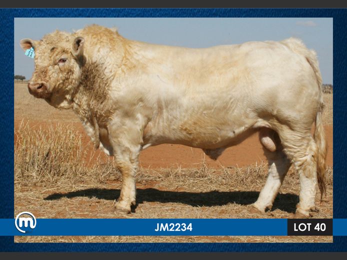 JM 220034